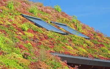 Swan Valley living roof systems